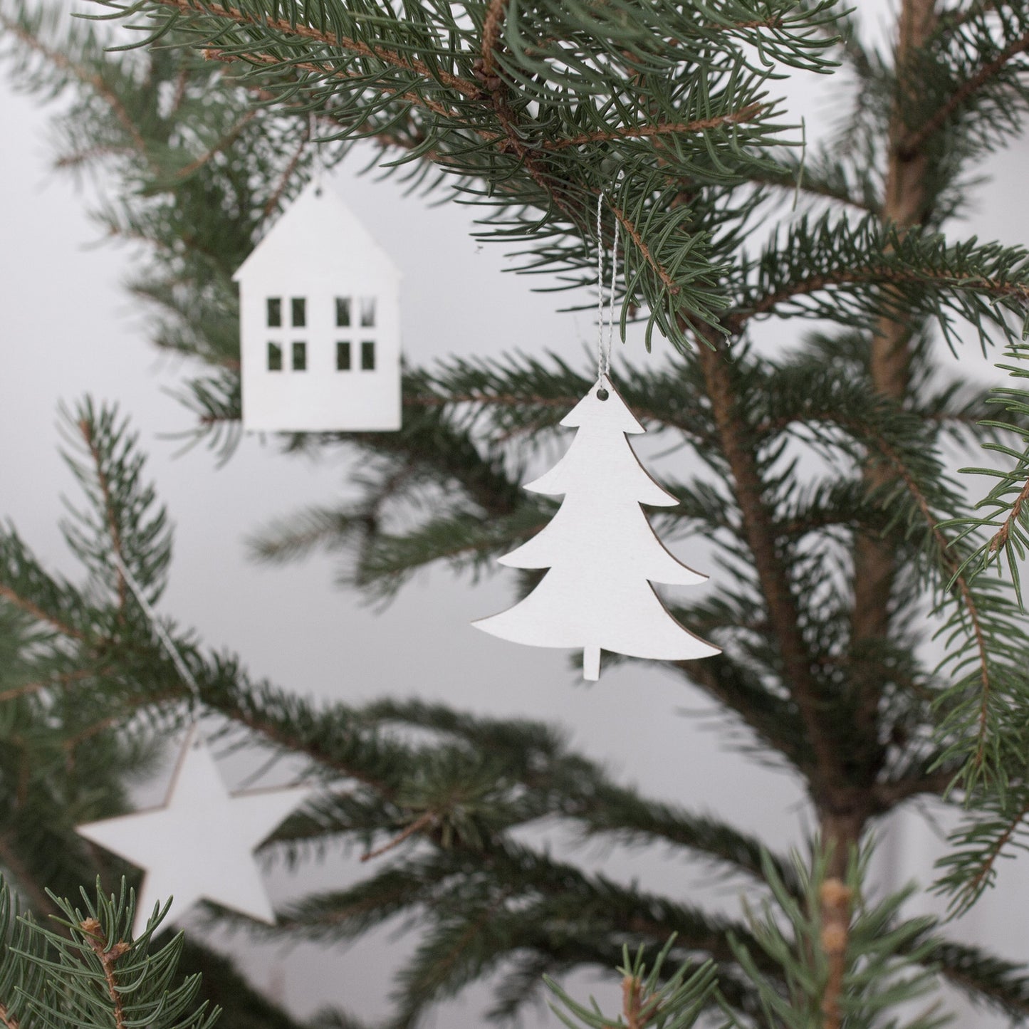 Holzanhänger Tanne weiß im 8er Set (VE= 8 Stk)