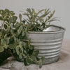 Metallbox rund 20cm (VE = 6 Stk)