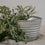 Metallbox rund 20cm (VE = 6 Stk)