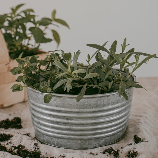 Metallbox rund 20cm (VE = 6 Stk)