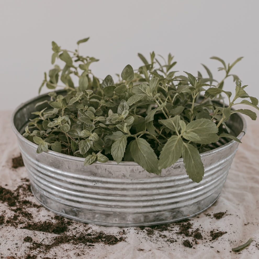 Boîte en métal d'environ 30cm (UE = 6 Pièces)