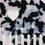 Kamm Cœur Panda (VE = 10 pcs.)