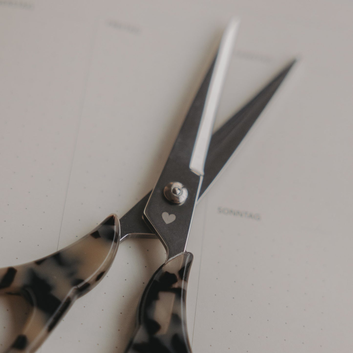 Schere silber Leo (VE = 8 Stk.)