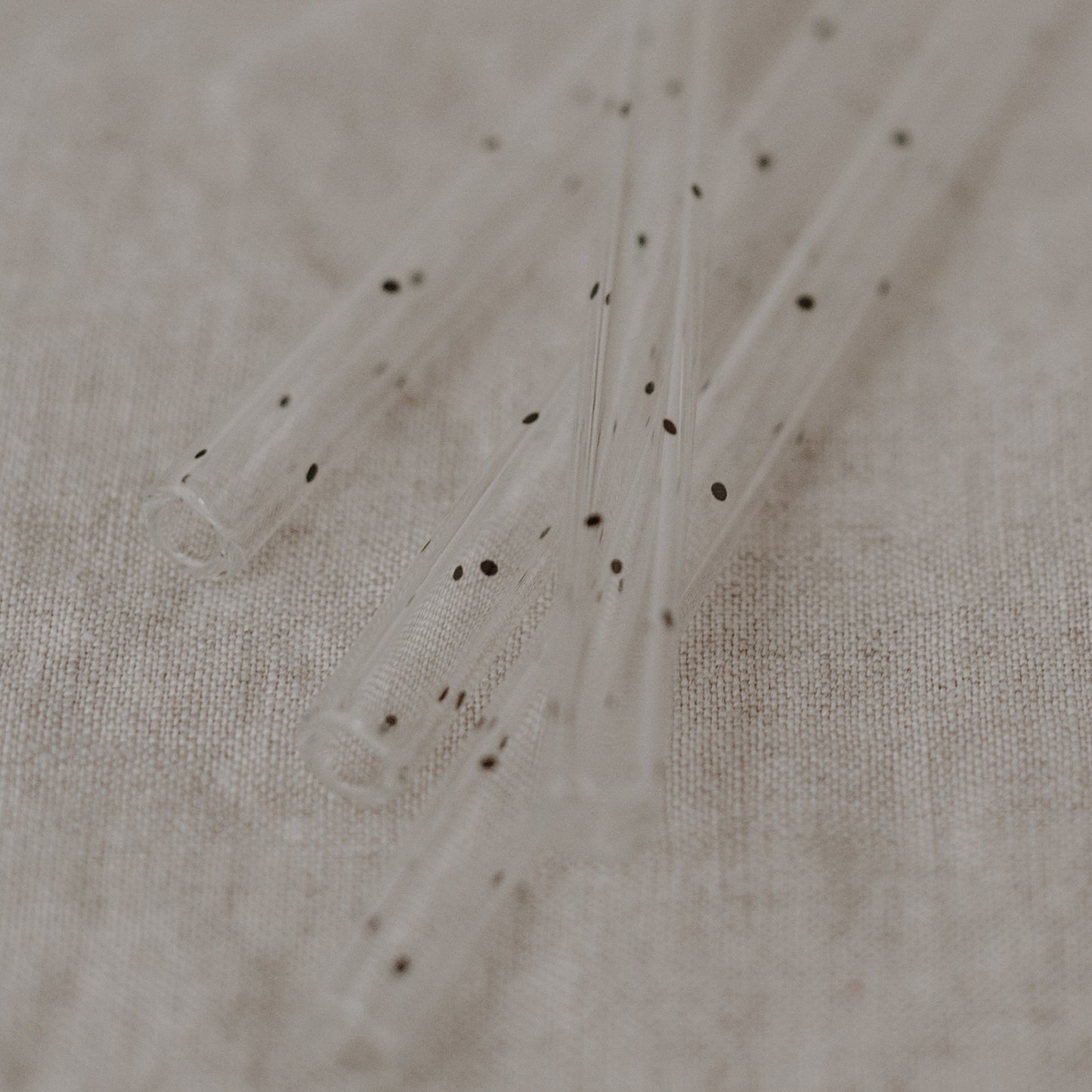 Pailles en verre Pois Noirs 13cm en lot de 4 (UE = 10 Ensembles)