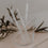Pailles en verre Animaux Noirs 13cm en lot de 4 (UE = 10 Ensembles)