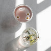Verre double paroi cœur 100ml (VE = 6 pcs)