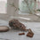 Storage jar houses 19cm (pack = 4 pcs)