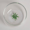 Verre à liqueur forme sapin (VE = 6 pcs)
