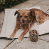 Vorratsglas Hund 19 cm (VE = 4 Stk.)