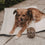 Vorratsglas Hund 19 cm (VE = 4 Stk.)