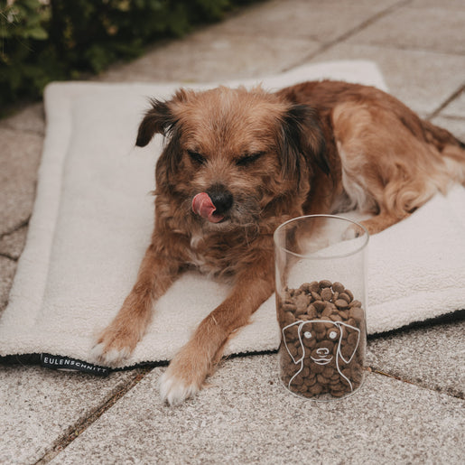 Vorratsglas Hund 19 cm (VE = 4 Stk.)