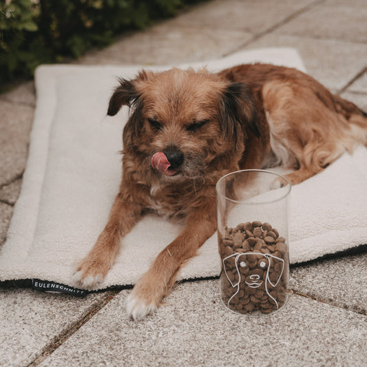 Vorratsglas Hund 19 cm (VE = 4 Stk.)