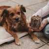 Vorratsglas Hund 19 cm (VE = 4 Stk.)