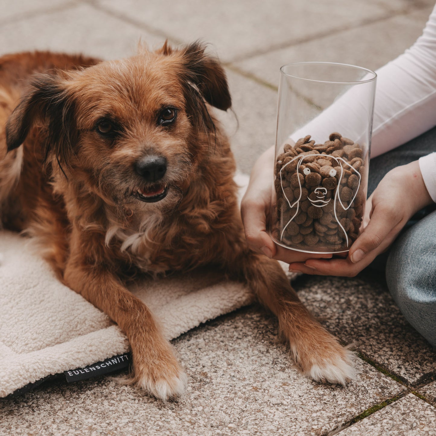 Vorratsglas Hund 19 cm (VE = 4 Stk.)