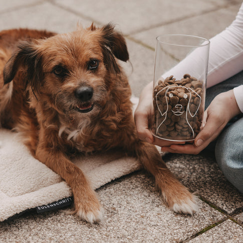 Vorratsglas Hund 19 cm (VE = 4 Stk.)