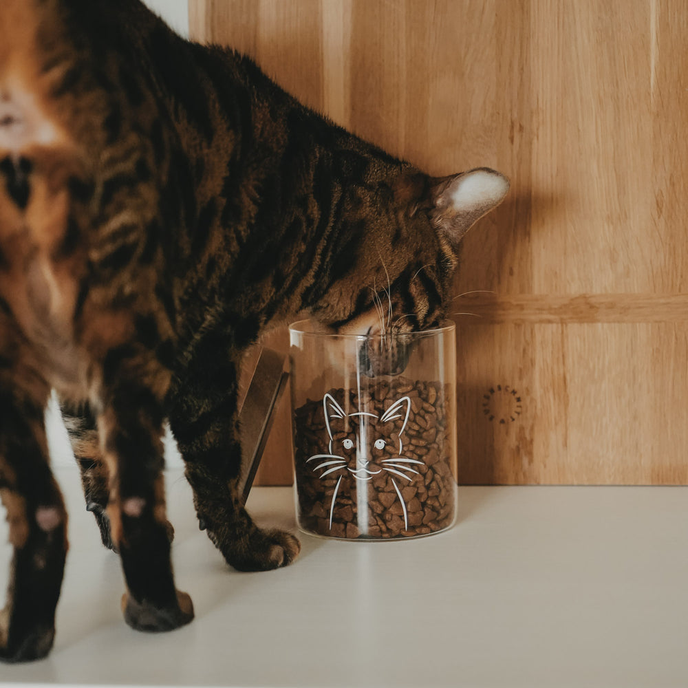 Vorratsglas Katze 13 cm (VE = 4 Stk.)