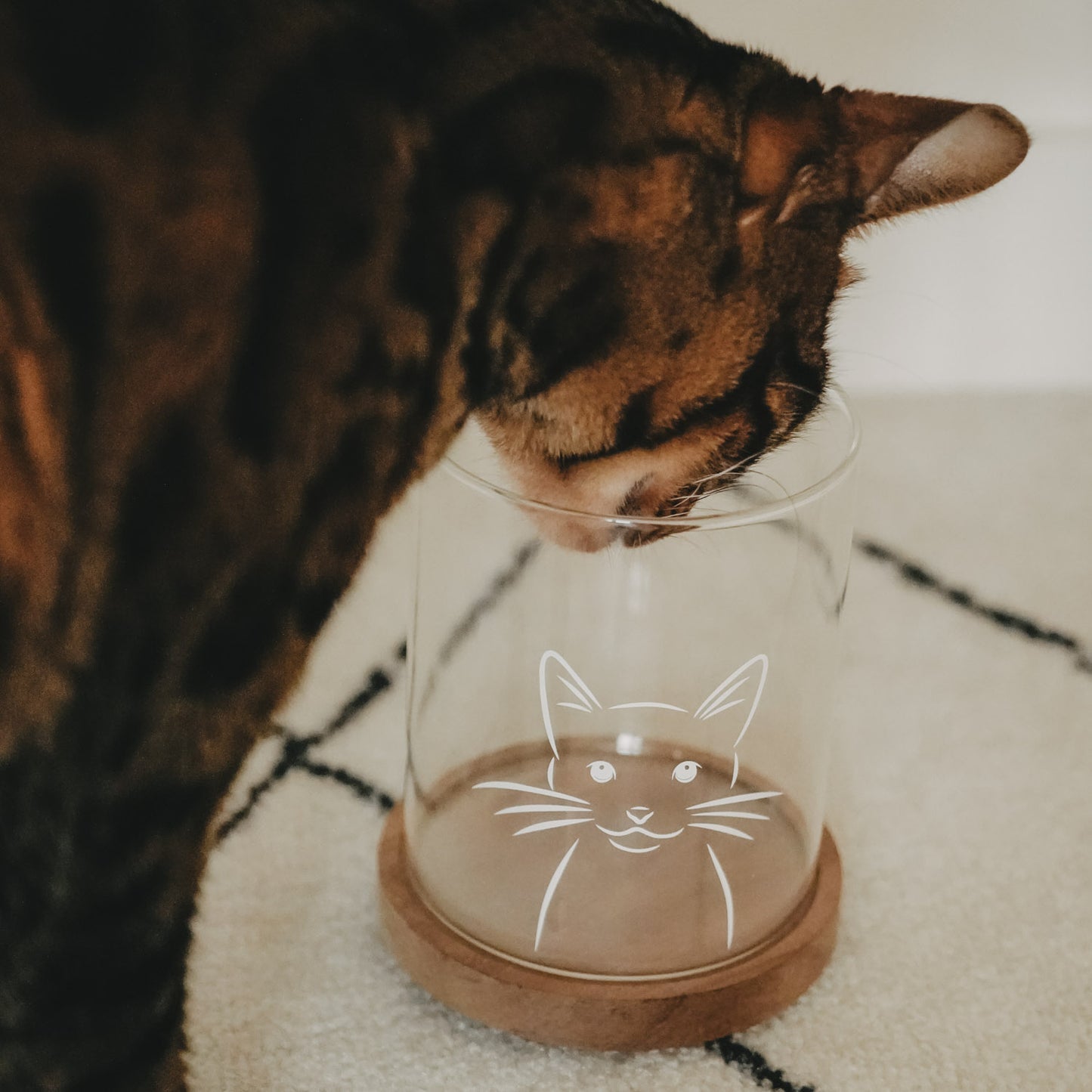 Vorratsglas Katze 13 cm (VE = 4 Stk.)