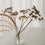 Bubbles Vase (VE = 4 Stk.)