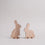 Steckhasen natural 2-piece set (VE = 6 pcs.)