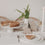 Steckhasen natural 2-piece set (VE = 6 pcs.)
