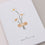 Carte pliable pansement (VE = 10 pcs.)