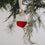 Décoration d'arbre Verre à vin (VE = 6 pcs.)