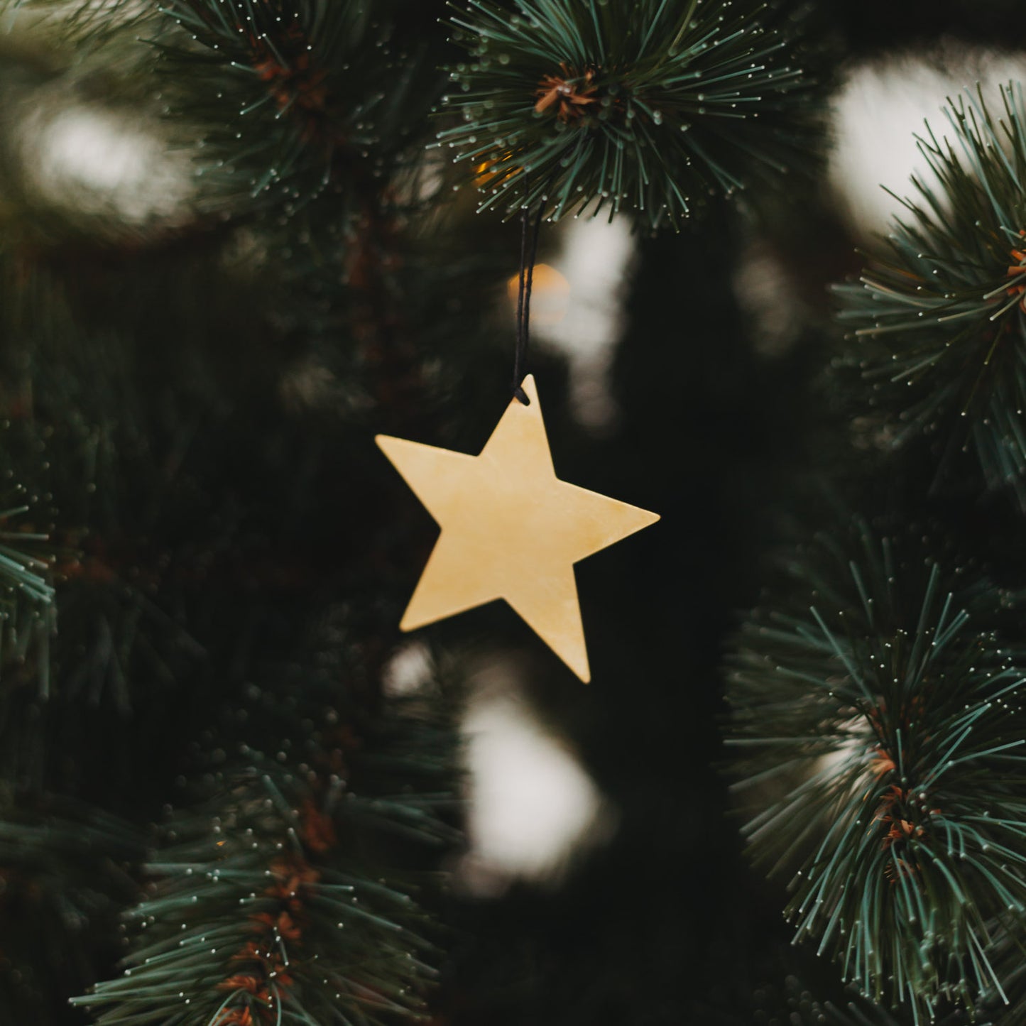 Anhänger Stern 6er Set Gold (VE = 8 Stk.)