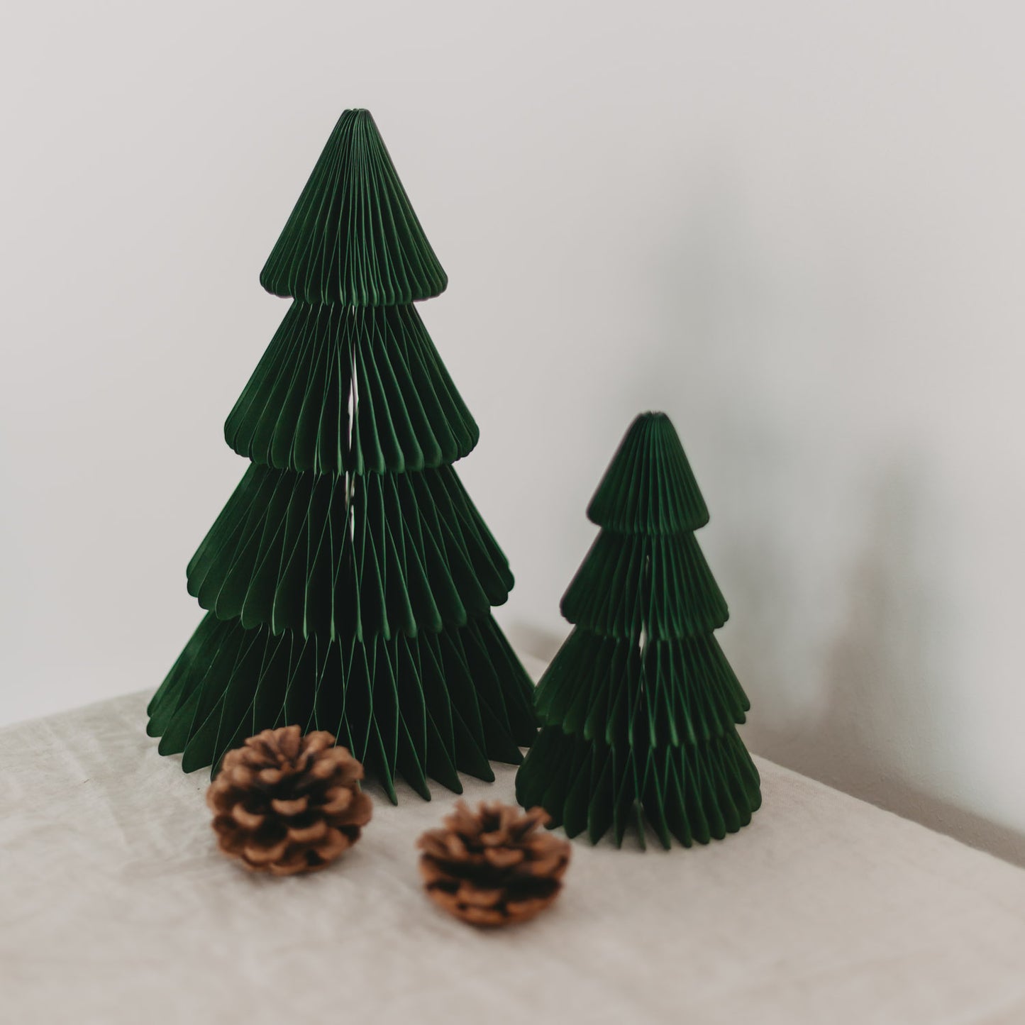 Papiertanne lot de 2 vert foncé (VE = 6 sets)