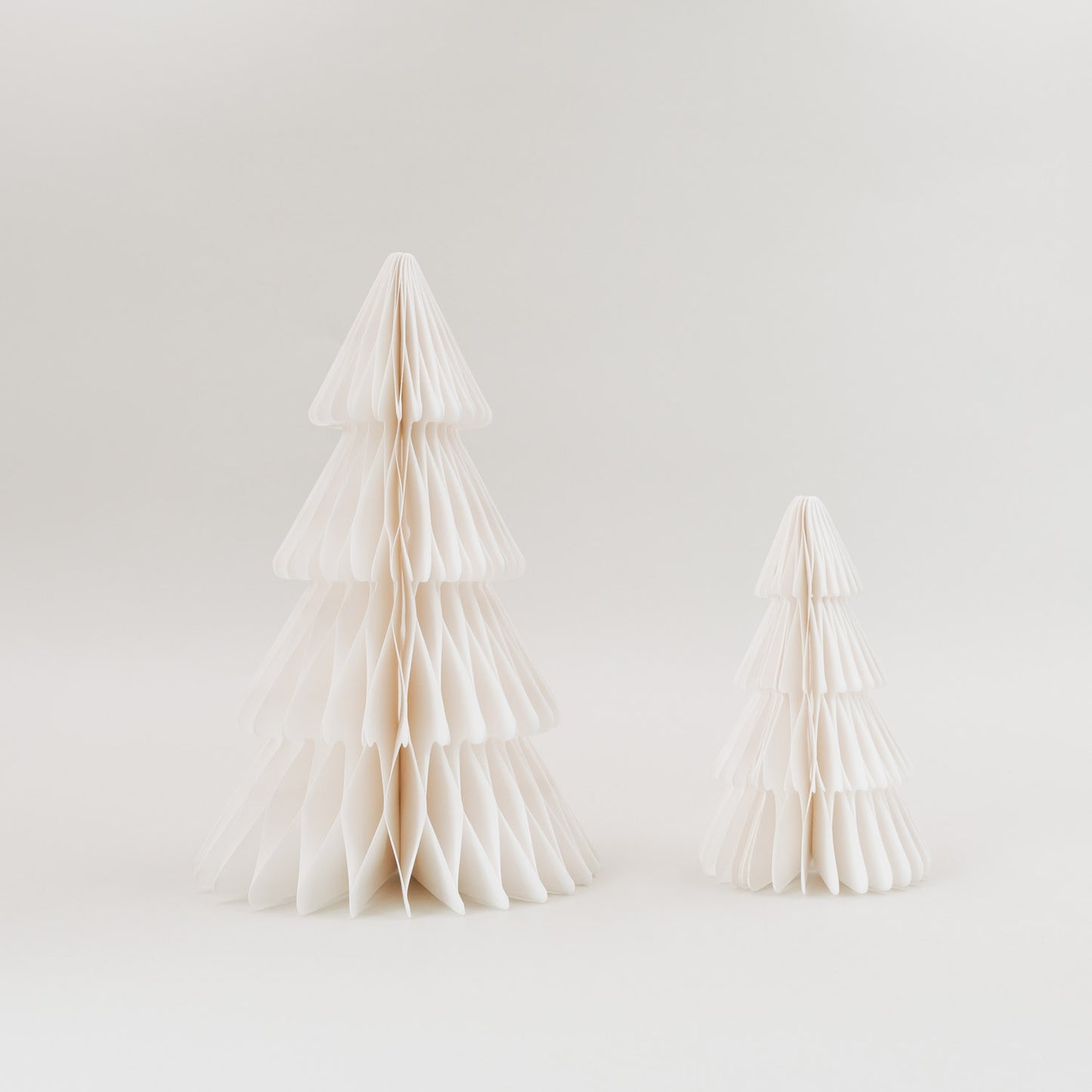 Papiertanne lot de 2 naturel (VE = 6 sets)
