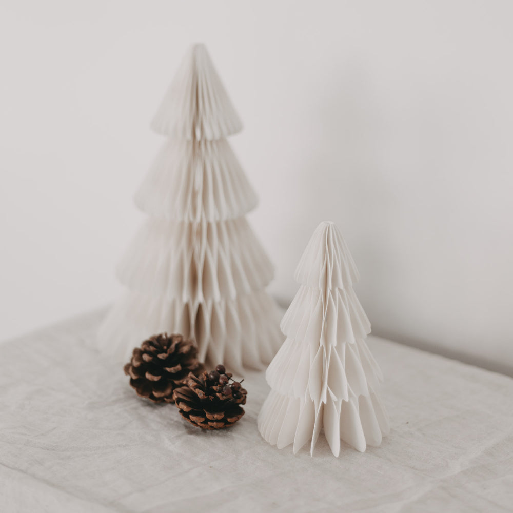 Papiertanne lot de 2 naturel (VE = 6 sets)
