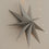 Papiersterne 3er Set grau (VE = 6 Sets)