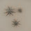 Papiersterne 3er Set grau (VE = 6 Sets)