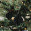 Papieranhänger 3er Set 10cm schwarz (VE = 6 Stk.)