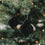 Papieranhänger 3er Set 7cm schwarz (VE = 6 Stk.)
