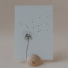 Aquarellkarte Pusteblume (UE = 10 Pièces)