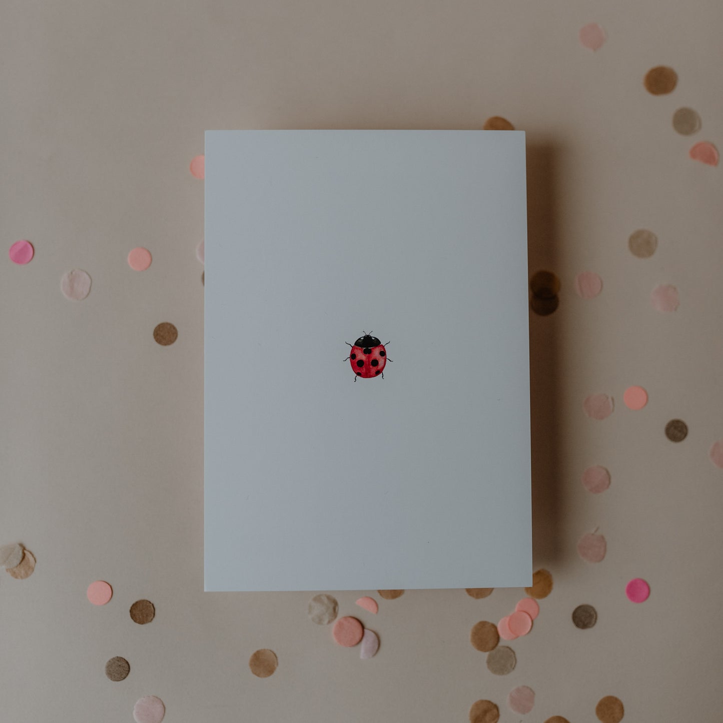 Aquarellkarte Ladybug (UE = 10 Pièces)