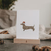 Carte aquarelle Christmas Teckel (VE = 10 Stück)
