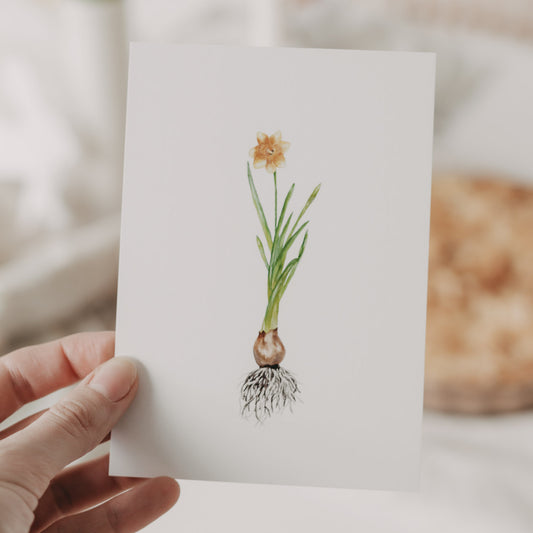 Carte aquarelle Jonquille (VE = 10 pcs)