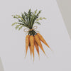 Aquarellkarte Carrots (VE = 10 Stk.)