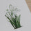 Aquarellkarte Snowdrop (VE = 10 Stk.)