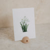 Aquarellkarte Snowdrop (VE = 10 Stk.)
