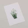 Aquarellkarte Snowdrop (VE = 10 Stk.)