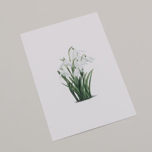 Aquarellkarte Snowdrop (VE = 10 Stk.)