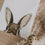 Aquarellkarte Hiding rabbit (VE = 10 Stk.)