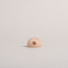 Half-round card holder Daisy (VE = 6 pcs)