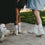 Socken Der Boden ist Lava (VE = 5 Stk)