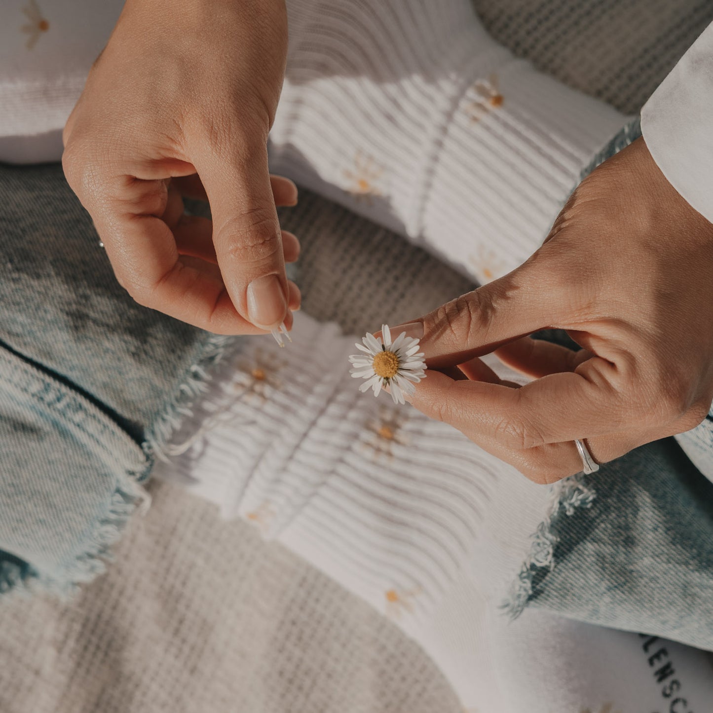 Socken Allover Daisy (VE = 5 Stück)