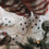 Kids Socken Allover Tannen (VE = 5 Stk.)