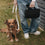 Hundedecke schwarz S (VE = 4 Stk.)