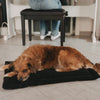 Hundedecke schwarz S (VE = 4 Stk.)